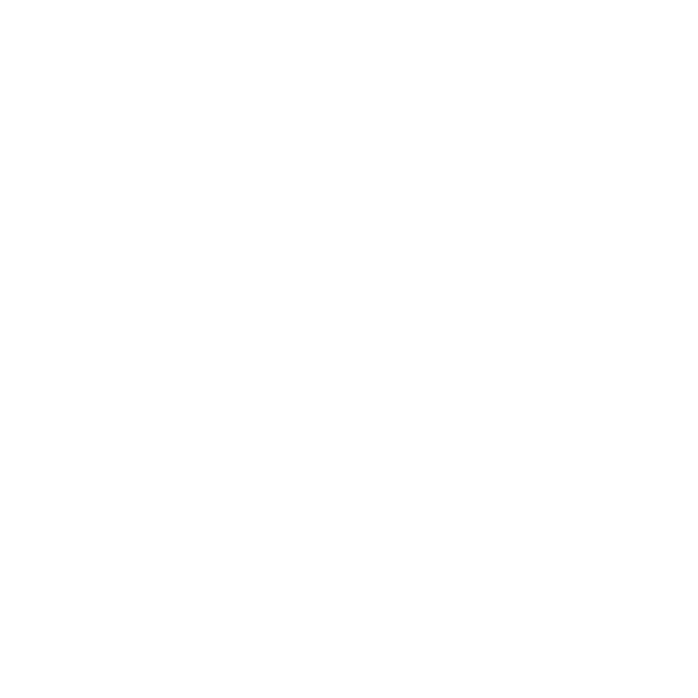 Pinterest Logo White