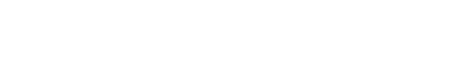 Washington Post Logo White